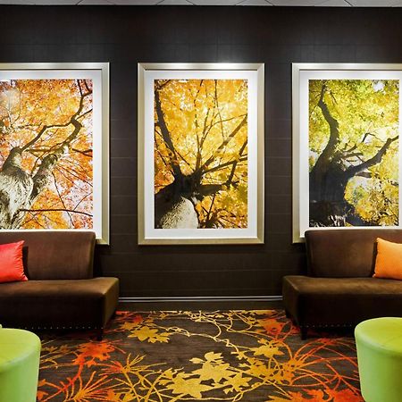 Sheraton Springfield Monarch Place Hotel מראה חיצוני תמונה